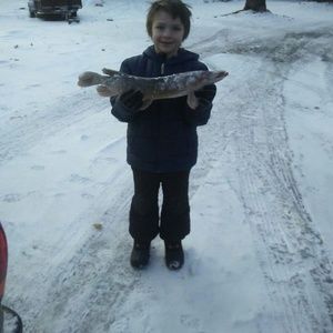 Meet your Posher, Al